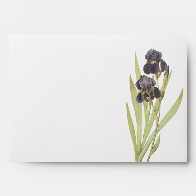 Enveloppe Iris flowers (Devant)