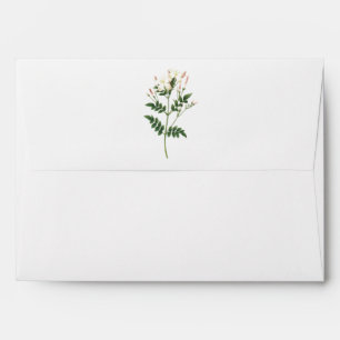Enveloppe jasmine (Jasminum grandiflorum) par Redouté
