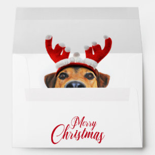 Enveloppe Joli chien drôle de Noël Cerf Antilope Bandeau