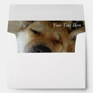 Enveloppe jolie japonaise akita drôle goofy chien souriant
