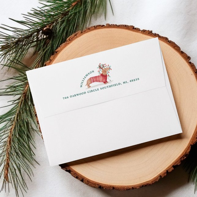 Enveloppe Joyeux Noël | Chandail de Noël Dachshund Dog (Merry Christmas | Dachshund Dog Christmas Sweater Envelope)