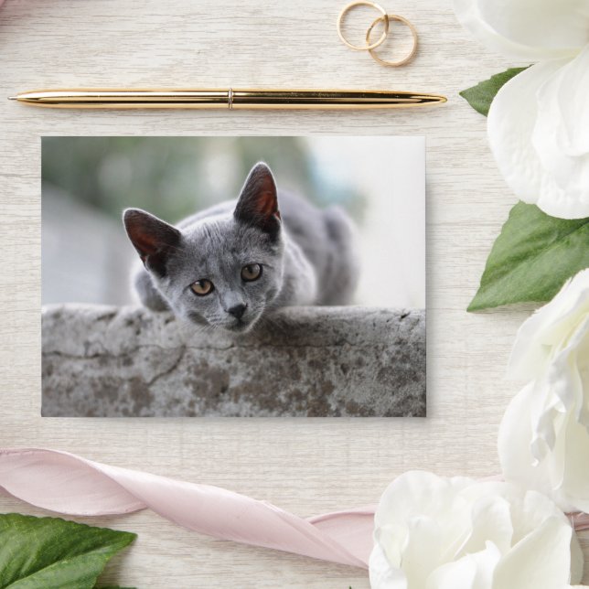 Enveloppe Kitten (Wedding)