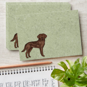 Enveloppe Labrador Retriever Chocolat Labrador Chien Mignon