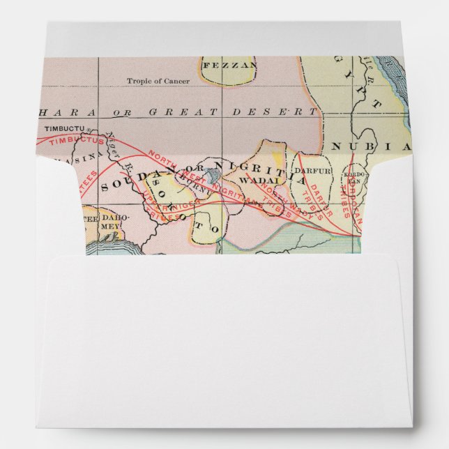 ENVELOPPE L'AFRIQUE : CARTE, 1894 (Dos (Bas))