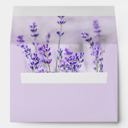 Enveloppe Mariage Champs Lavender