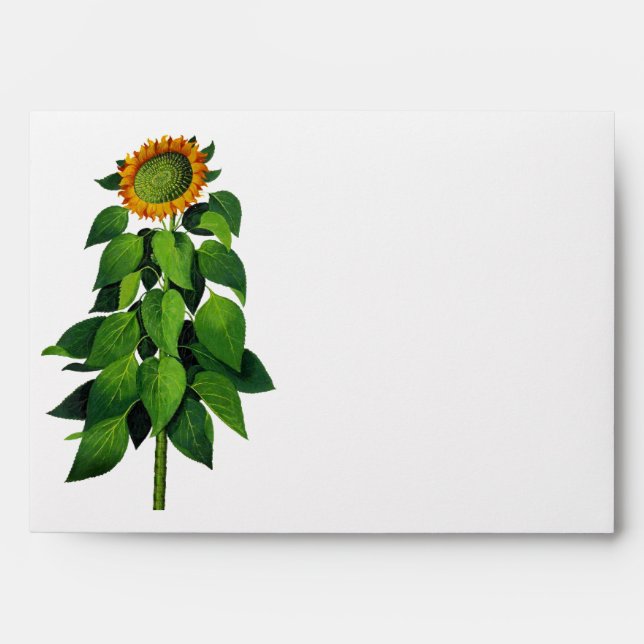 Enveloppe Mariage de tournesol rustique (Devant)