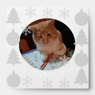 Enveloppe Miaou et lumineux, Photo de chat, Noël 