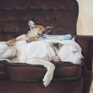 Enveloppe mignon chiot brun bouddin blanc américain taureau