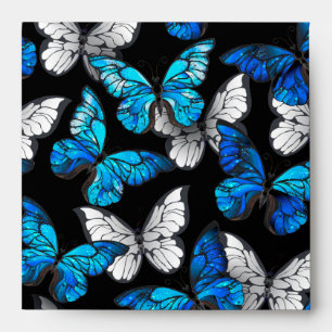 Enveloppe Motif sans couleur foncée avec papillons bleus Mor