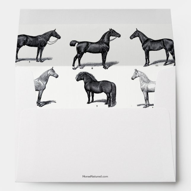 Enveloppe noire et blanche avec dessin de cheval (Dos (Bas))