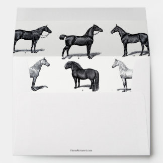 Enveloppe noire et blanche avec dessin de cheval