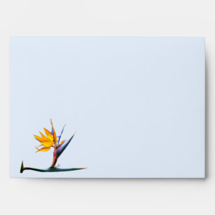 Enveloppe Oiseau du Paradis