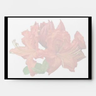 Enveloppe Orange Azalea Blossoms
