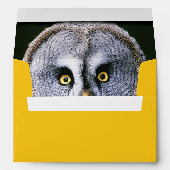 Enveloppe Owl 2 (Dos (Bas))