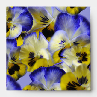 Enveloppe Pansies bleu et jaune