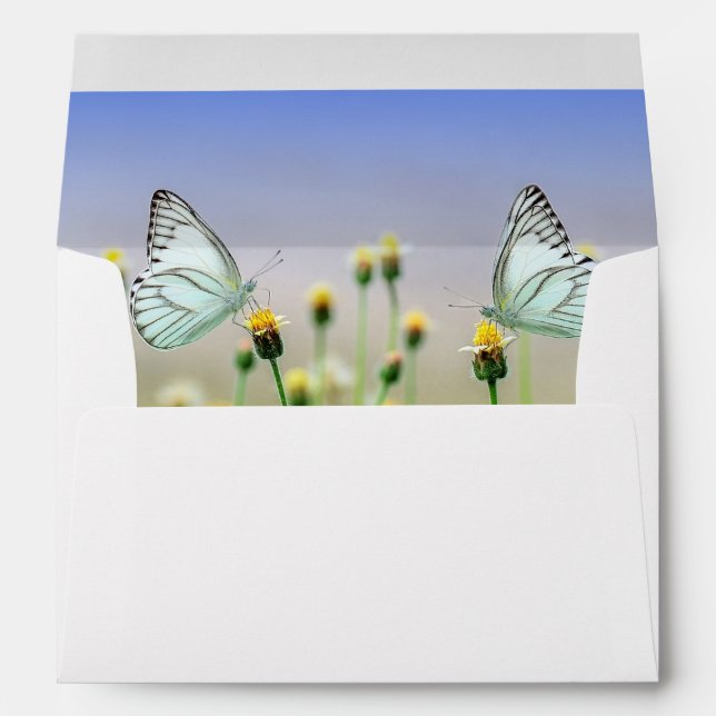 Enveloppe papillon (Dos (Bas))