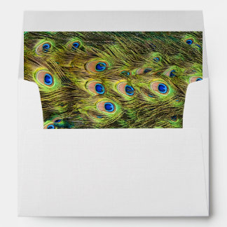 Enveloppe Peacock Feather