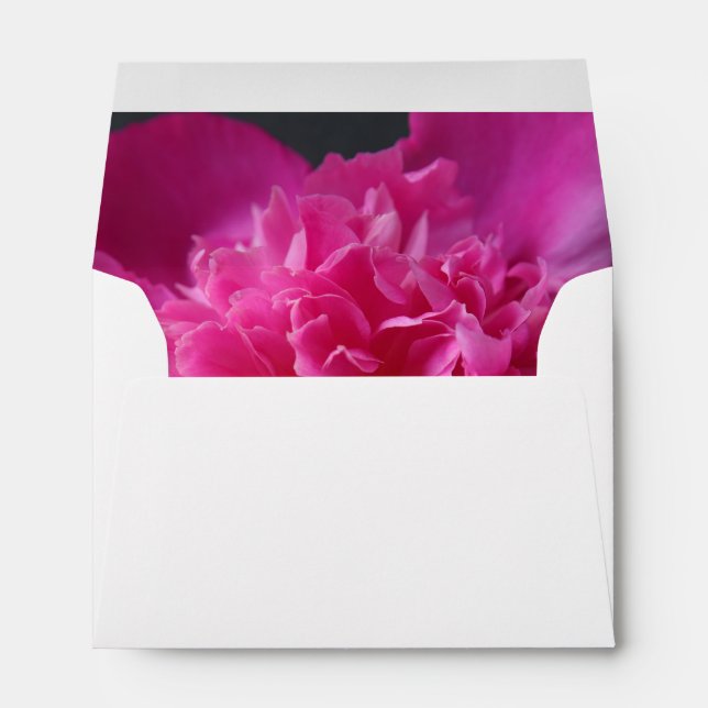 Enveloppe Peine rose profonde sur noir (Dos (Bas))