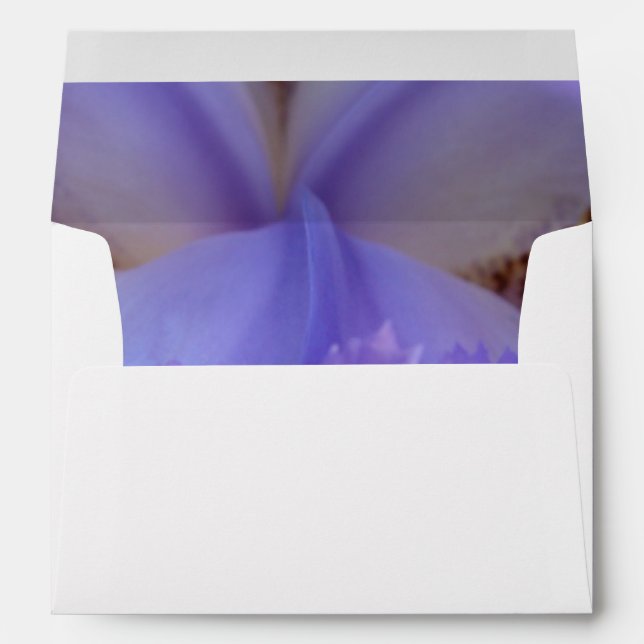 Enveloppe Perdu dans un rêve (Dos (Bas))