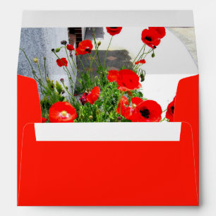Enveloppe photo de pavot rouge