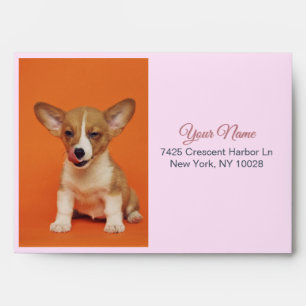 Enveloppe Photo personnalisé de chien mignon pour un amour s
