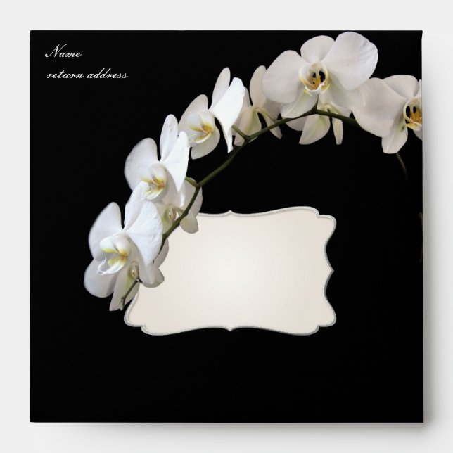 Enveloppe Pix-Dezines orchidées/phalaenopsis (Devant)
