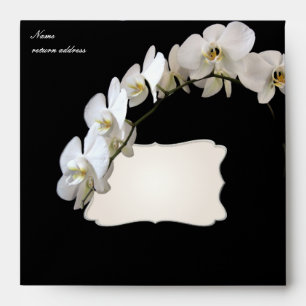 Enveloppe Pix-Dezines orchidées/phalaenopsis