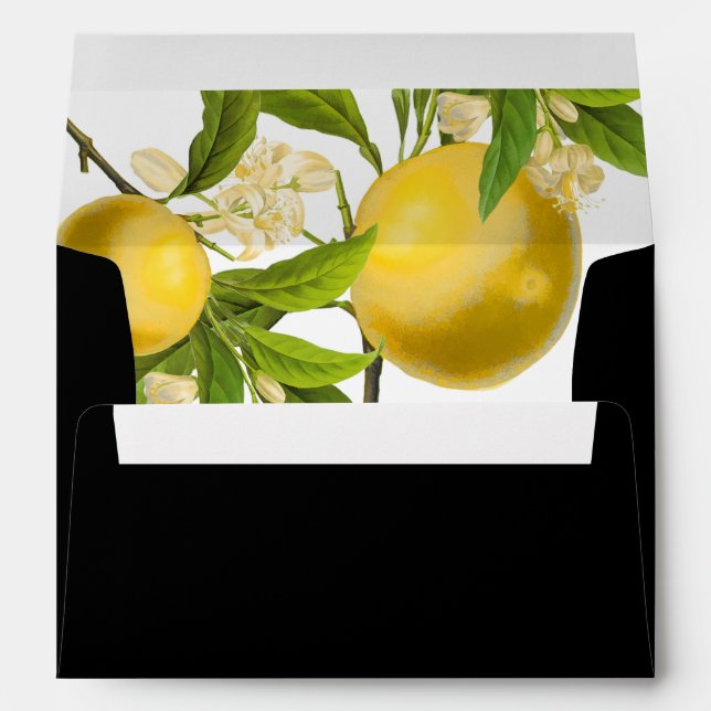 Enveloppe PixDezines couleur Vintage Botanique/LemonDIY (Dos (Bas))