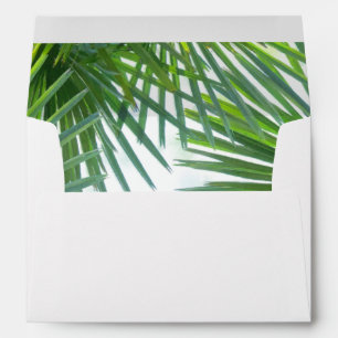 Enveloppe rayée avec la verdure de paume