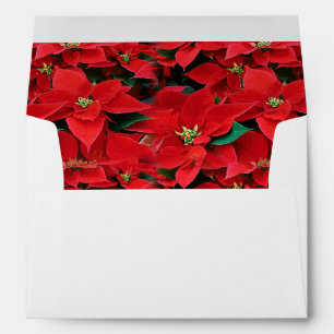 Enveloppe Red Poinsettia Holiday