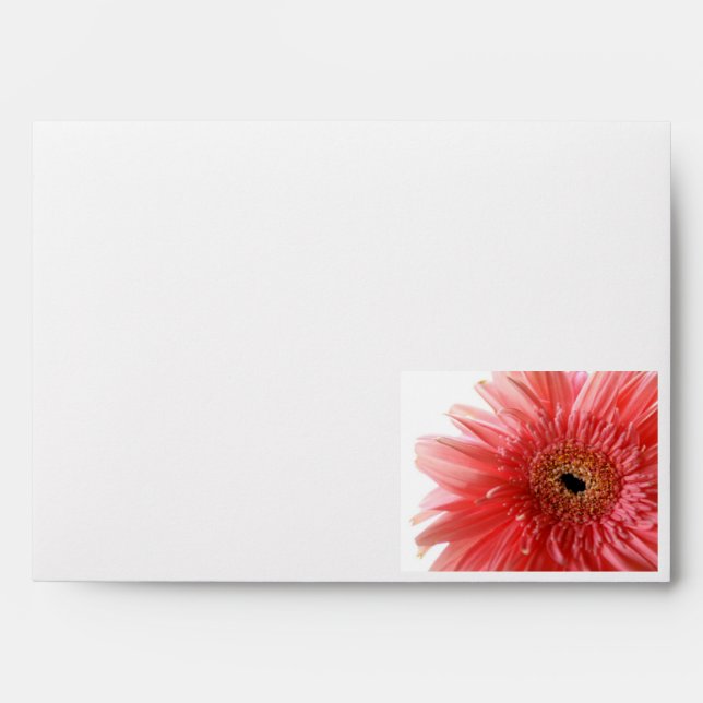 Enveloppe rose Gerber Daisy (Devant)