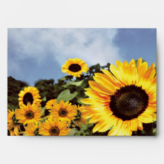 Enveloppe Secteur de tournesol PN 20