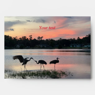 Enveloppe Silhouette des grues de Sandhill au coucher du sol