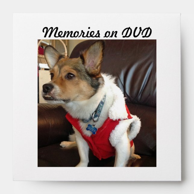 Enveloppe Souvenirs sur l'enveloppe de DVD (Devant)