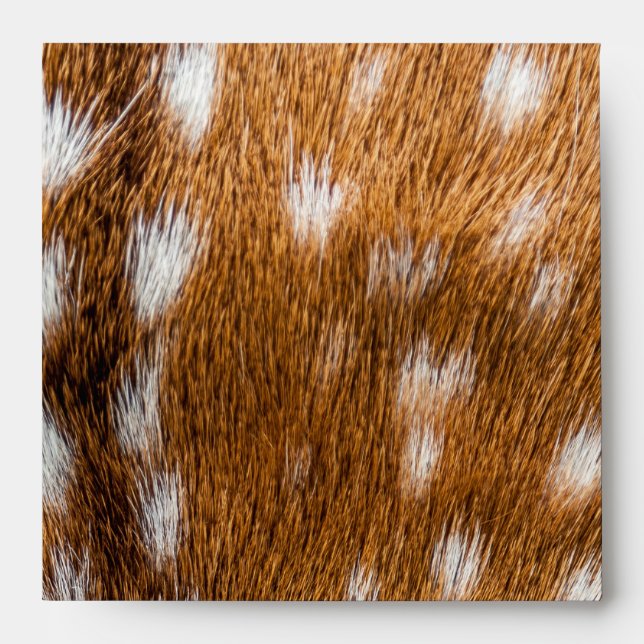 Enveloppe Spotted deer pour texture (Devant)