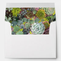 Succulents de verdure