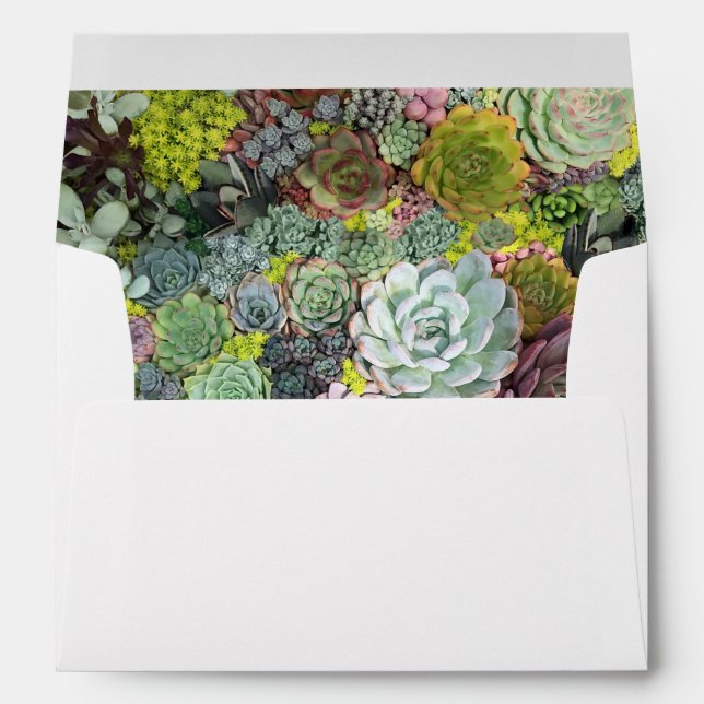 Enveloppe Succulents de verdure (Dos (Bas))