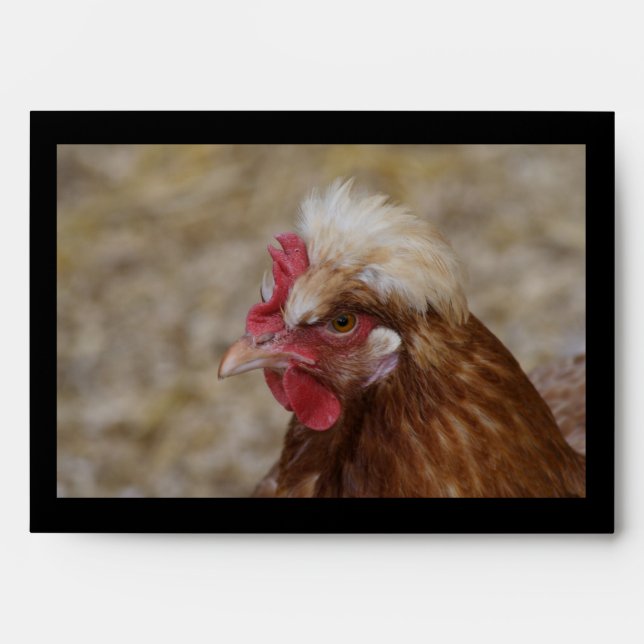 Enveloppe Sulmtaler Hen (Devant)