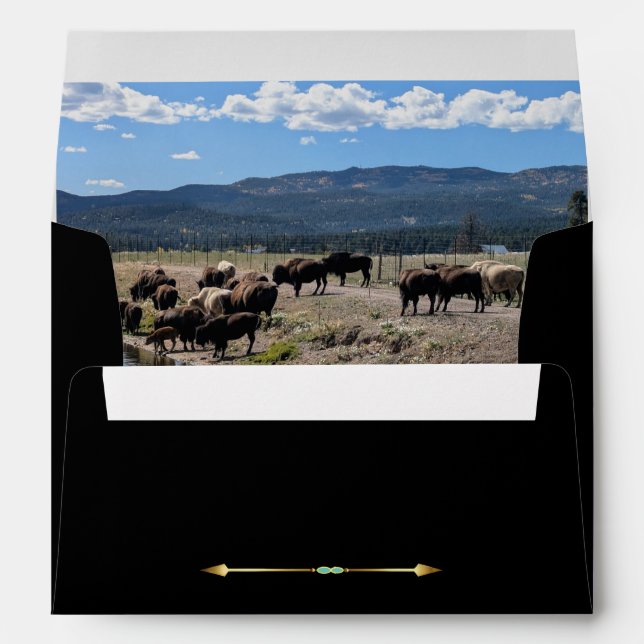 Enveloppe Tatanka Bison Yellowstone EMPRanch Invitation Enve (Dos (Bas))