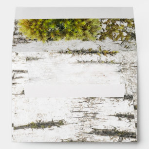 Enveloppe Texture rustique d'écorce d'arbre de bouleau de