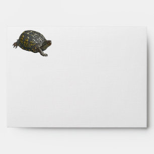 Enveloppe Tortue à boîte orientale
