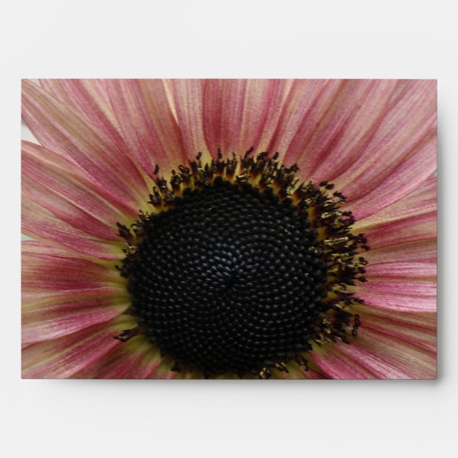 Enveloppe Tournesol rose pâle (Devant)