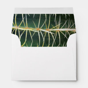 Enveloppe Tropical Cactus Photo Adresse personnalisée