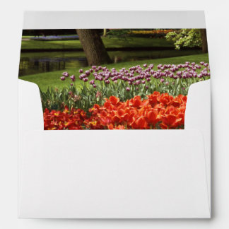 Enveloppe Tulipe