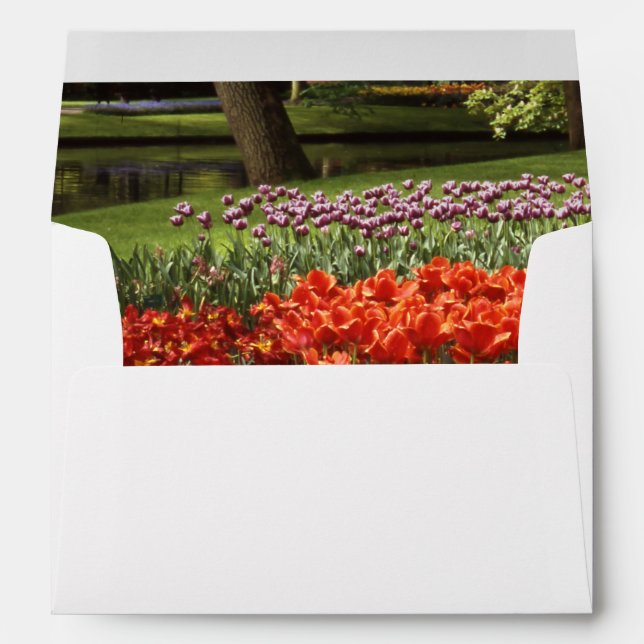 Enveloppe Tulipe (Dos (Bas))