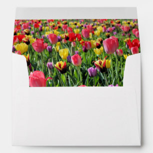 Enveloppe Tulipes