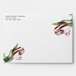 Enveloppe Tulipes Rembrandt rouges et blanches