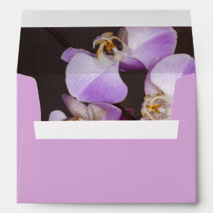 Enveloppe Violet et Orchidée blanche - photo de près