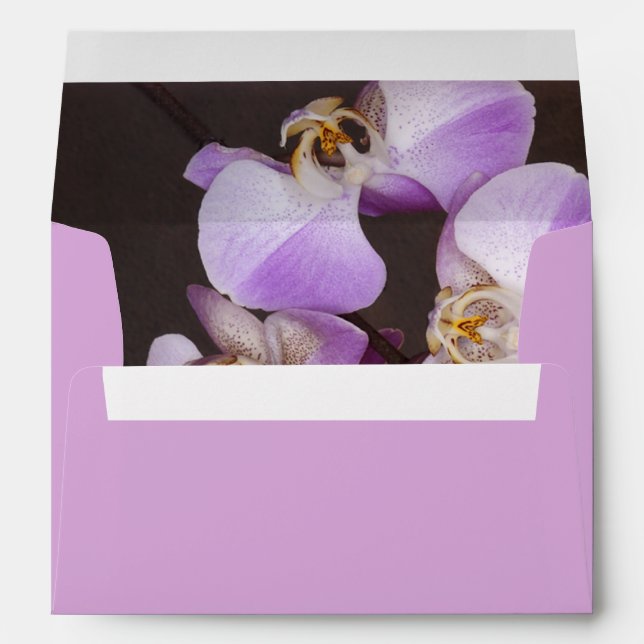 Enveloppe Violet et Orchidée blanche - photo de près (Dos (Bas))