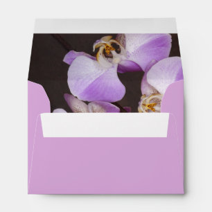 Enveloppe Violet et Orchidée blanche - photo de près